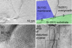 "Silicon Nanomembranes with Hybrid Crystal Orientations and Strain States." ACS Applied Materials & Interfaces, v. 9, p. 42372, 2017.