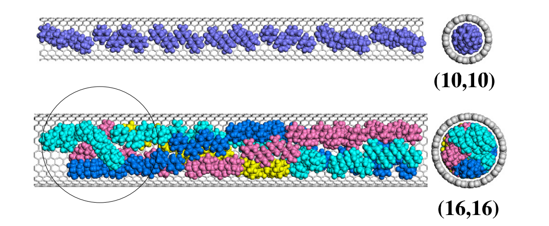 Ordered phases of encapsulated diamondoids into carbon nanotubes