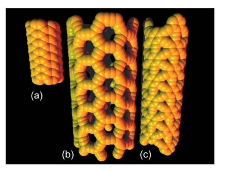 Graphyne Nanotubes: New Families of Carbon Nanotubes