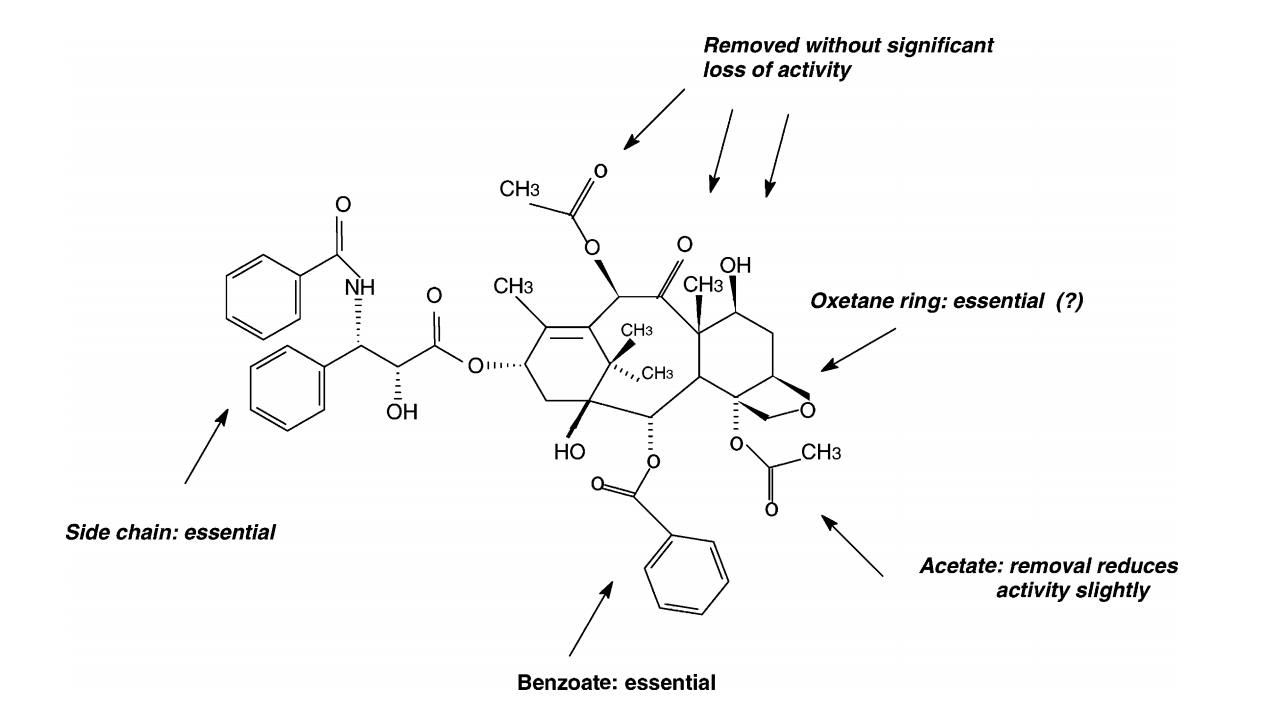 A semiempirical study on the electronic structure of 10-deacetylbaccatin-III