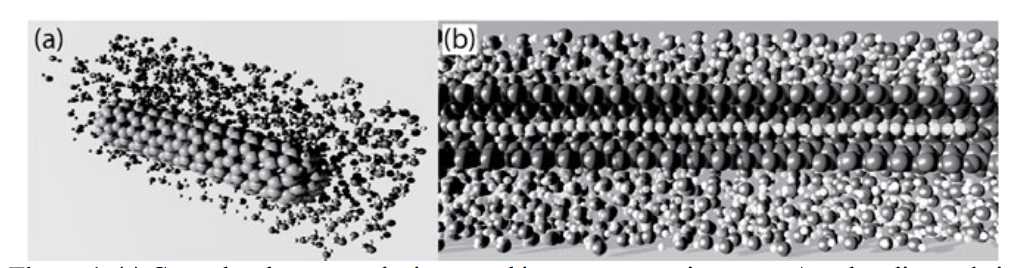 High Pressure Induced Binding Between Linear Carbon Chains and Nanotubes