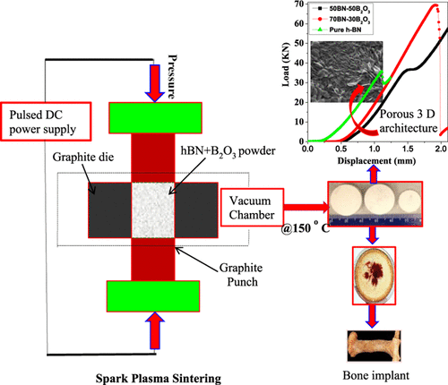 Synthesis and 3D Interconnected Nanostructured h-BN-Based Biocomposites by Low-Temperature Plasma Sintering: Bone Regeneration Applications