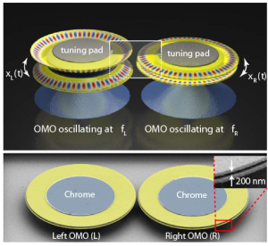 Synchronization of Micromechanical Oscillators Using Light